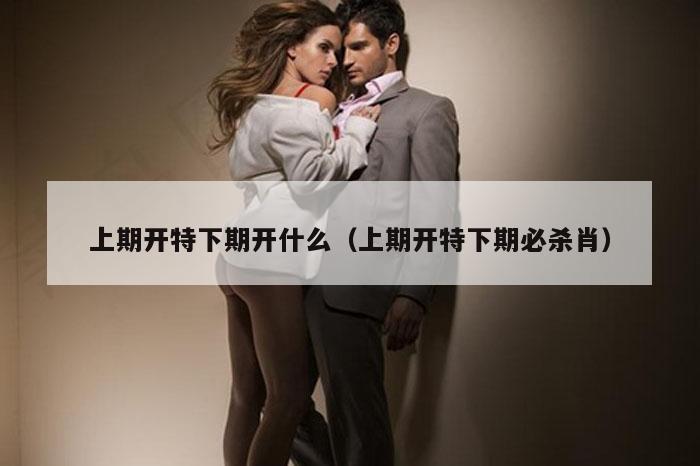 上期开特下期开什么（上期开特下期必杀肖）