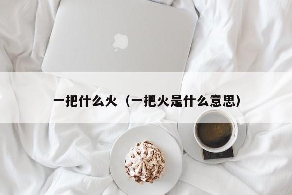 一把什么火（一把火是什么意思）